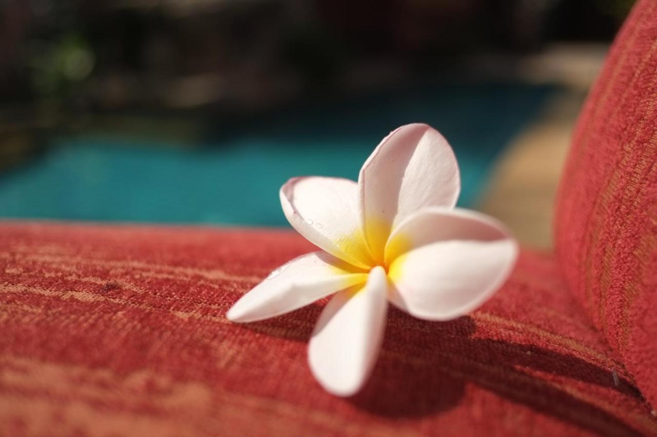 พระตำหนักวิลล่า 10 ห้องนอน พร้อมสระว่ายน้ำส่วนตัว 파타야 외부 사진